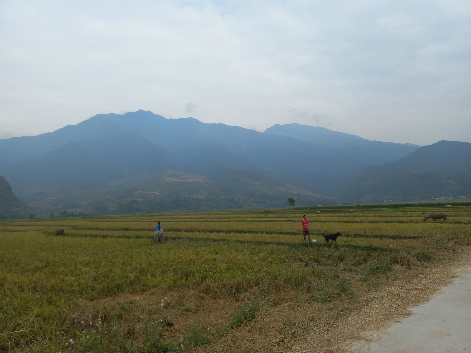 5 Days Luang Prabang Cycling To Thailand Border